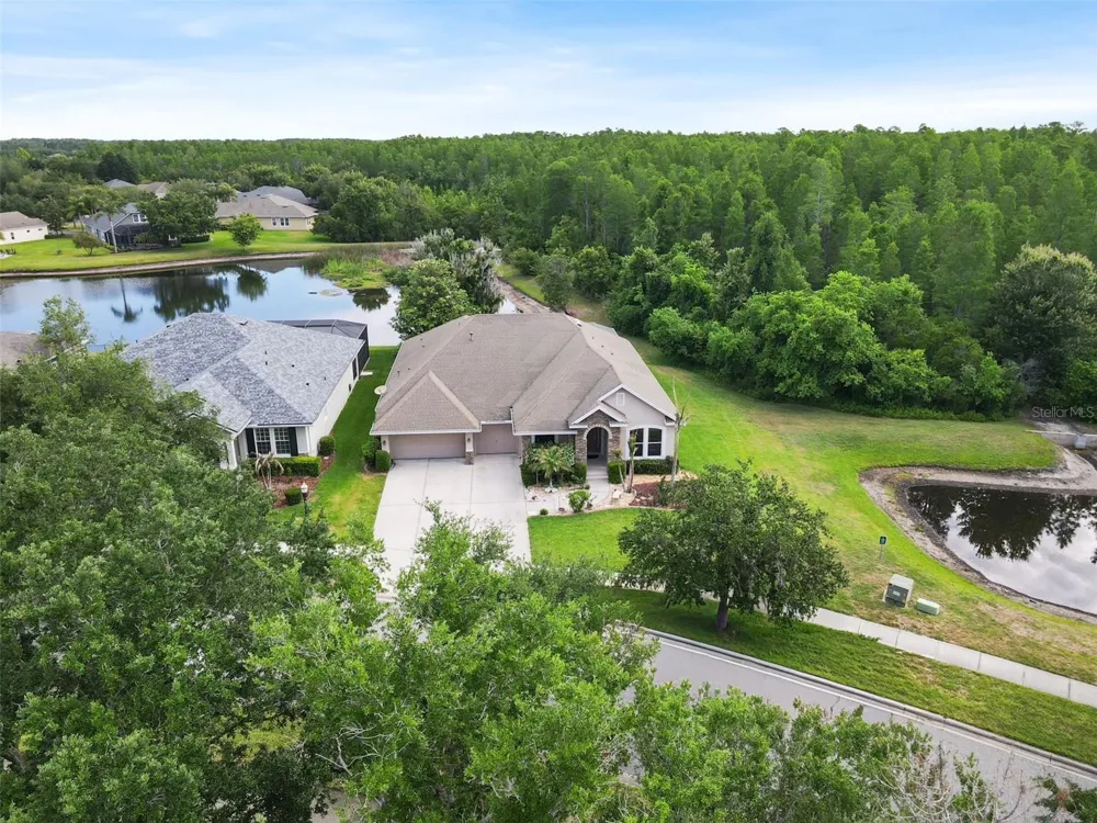 8434 WESTERLAND DRIVE Land O Lakes, FL 34637