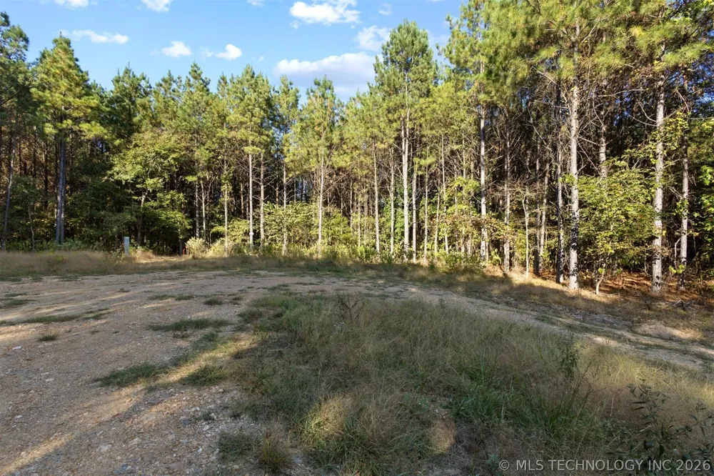 134 Wolf Tree Trail Broken Bow, OK 74728