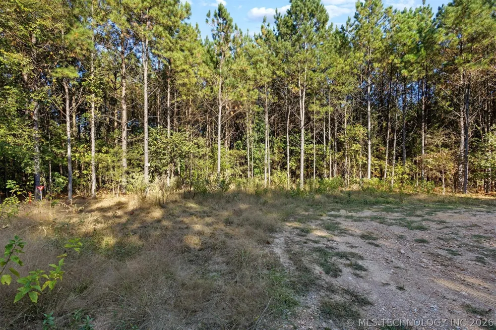 134 Wolf Tree Trail Broken Bow, OK 74728