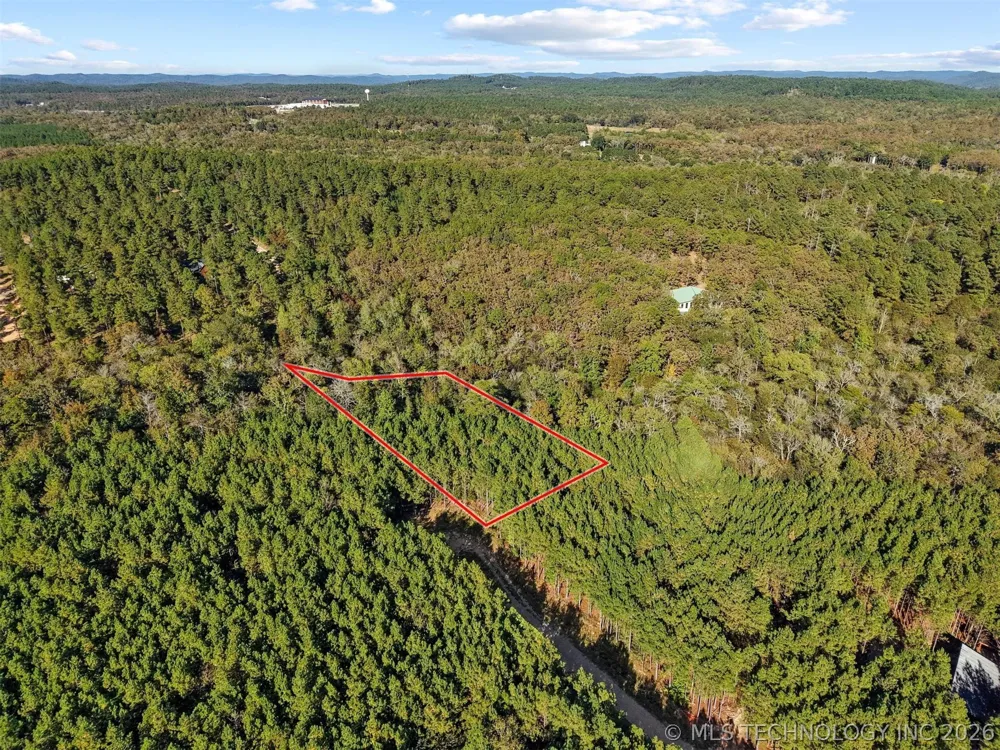 134 Wolf Tree Trail Broken Bow, OK 74728