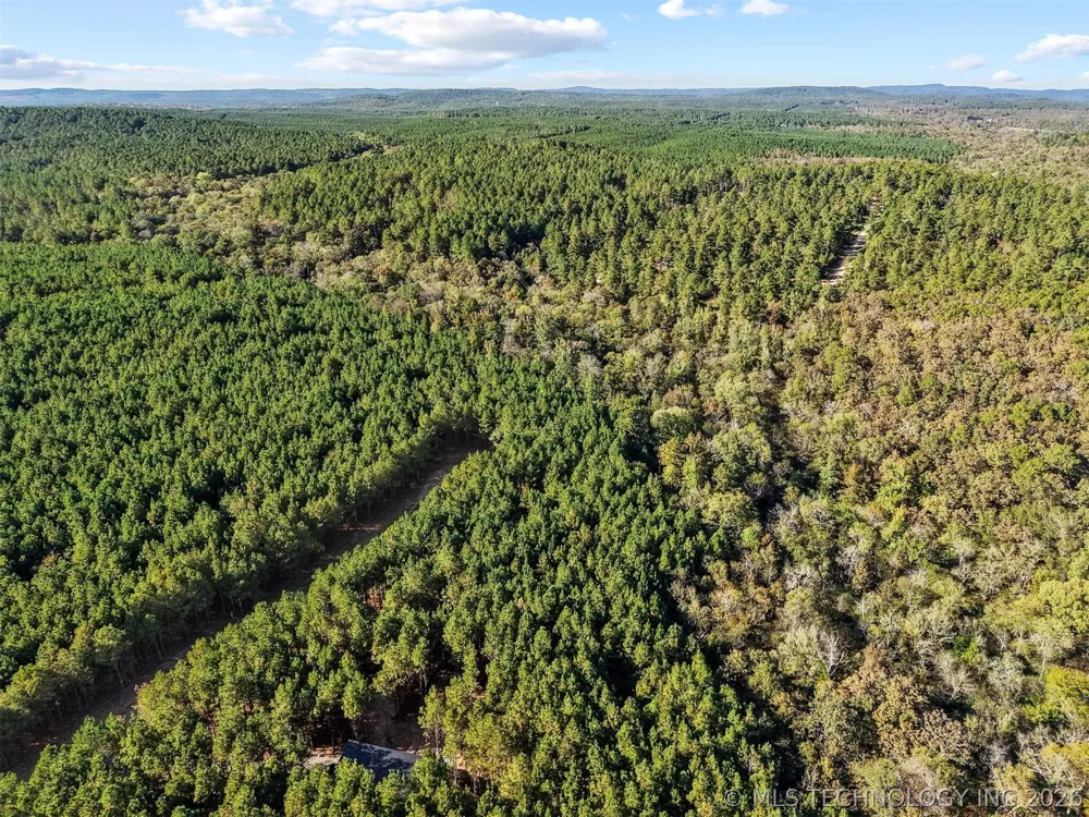 134 Wolf Tree Trail Broken Bow, OK 74728