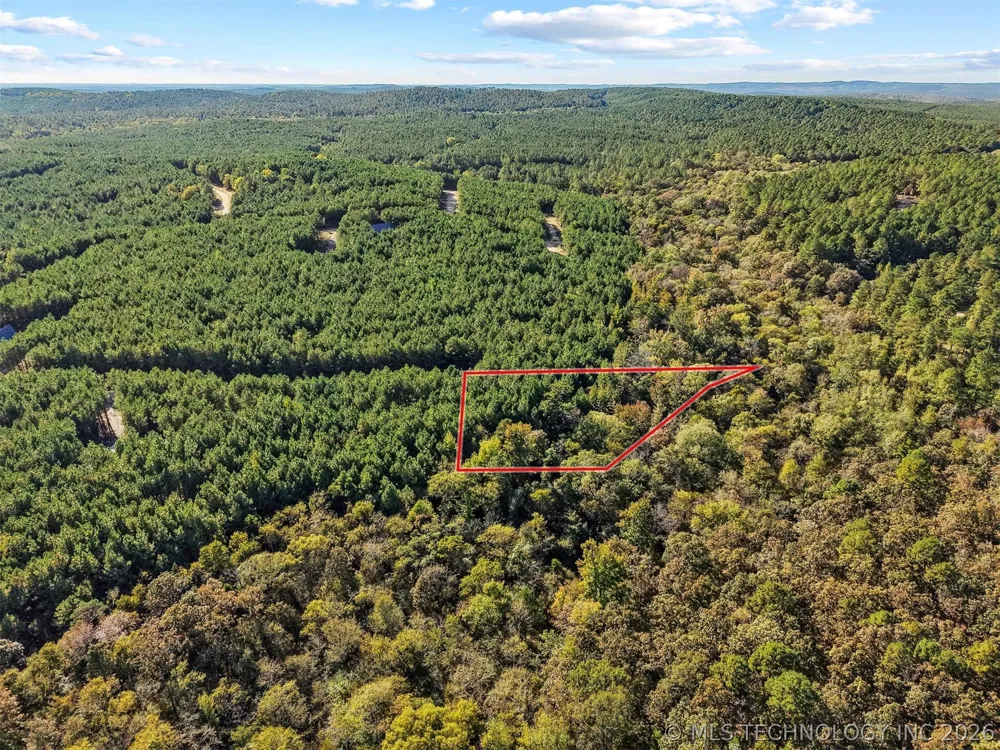 134 Wolf Tree Trail Broken Bow, OK 74728