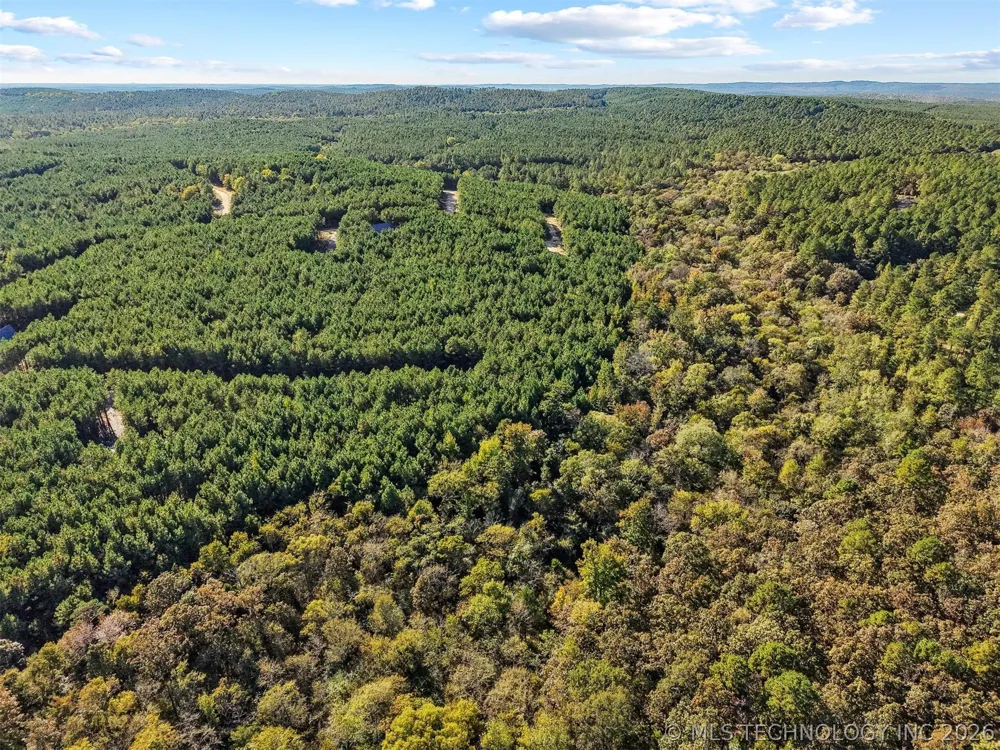 134 Wolf Tree Trail Broken Bow, OK 74728