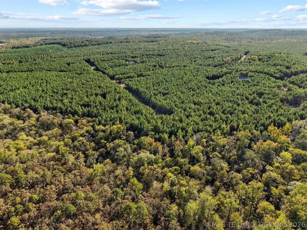 134 Wolf Tree Trail Broken Bow, OK 74728