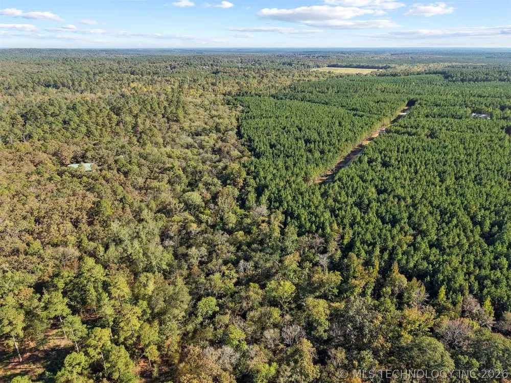134 Wolf Tree Trail Broken Bow, OK 74728