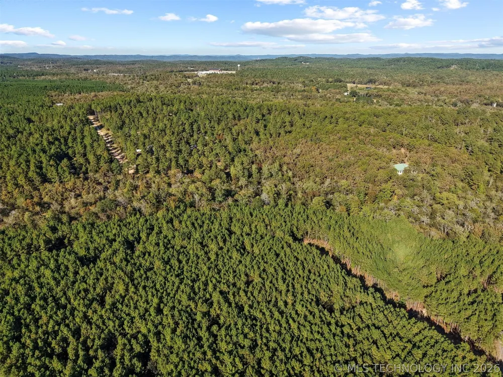 134 Wolf Tree Trail Broken Bow, OK 74728