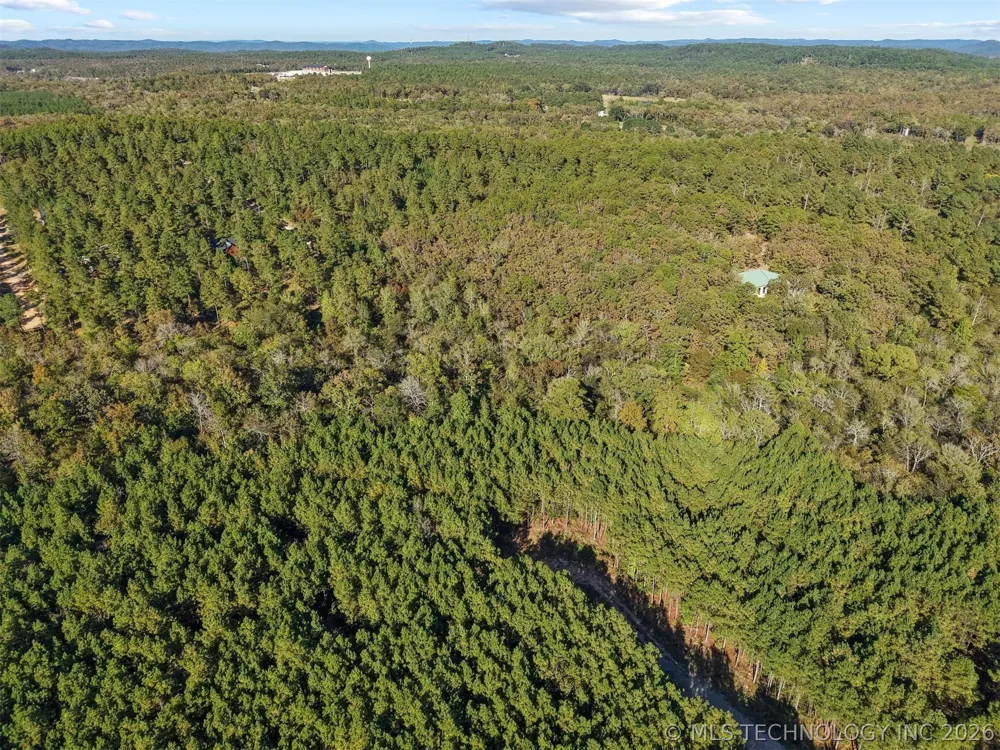 134 Wolf Tree Trail Broken Bow, OK 74728