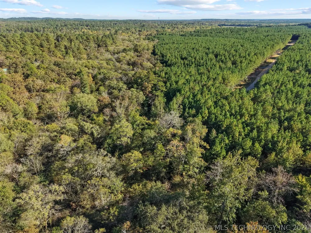 134 Wolf Tree Trail Broken Bow, OK 74728