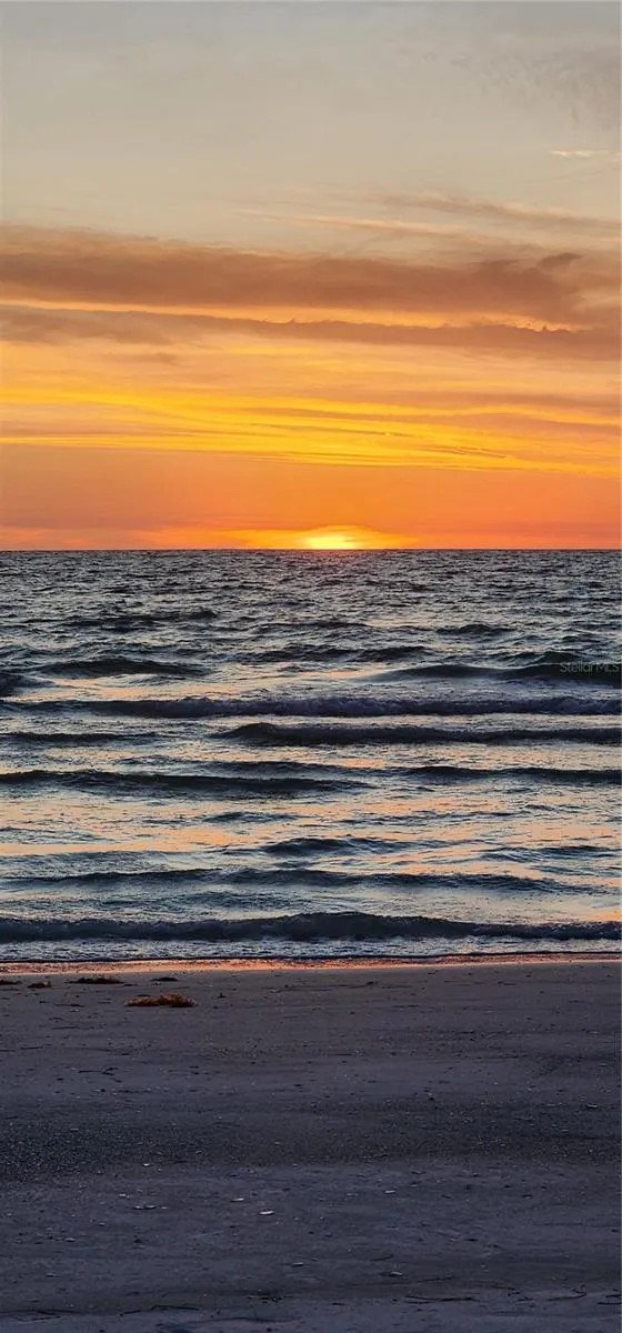 3100 GULF BOULEVARD #132 Belleair Beach, FL 33786