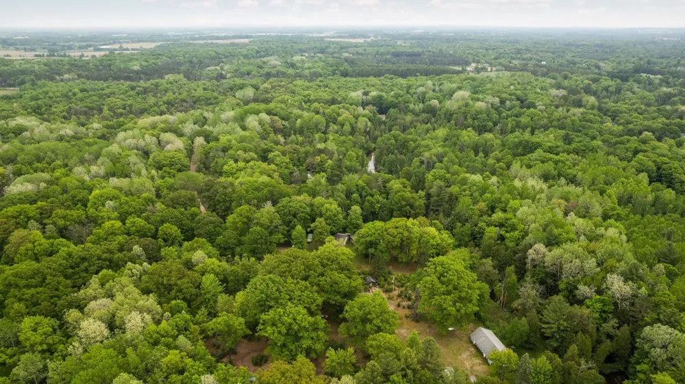 8415 W Workman Road Lake Township, MI 49651