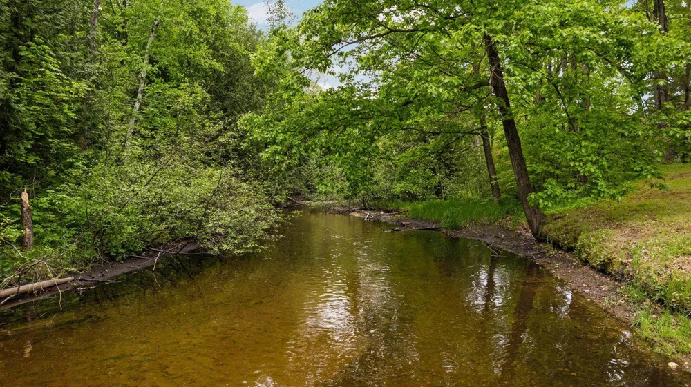 8415 W Workman Road Lake Township, MI 49651