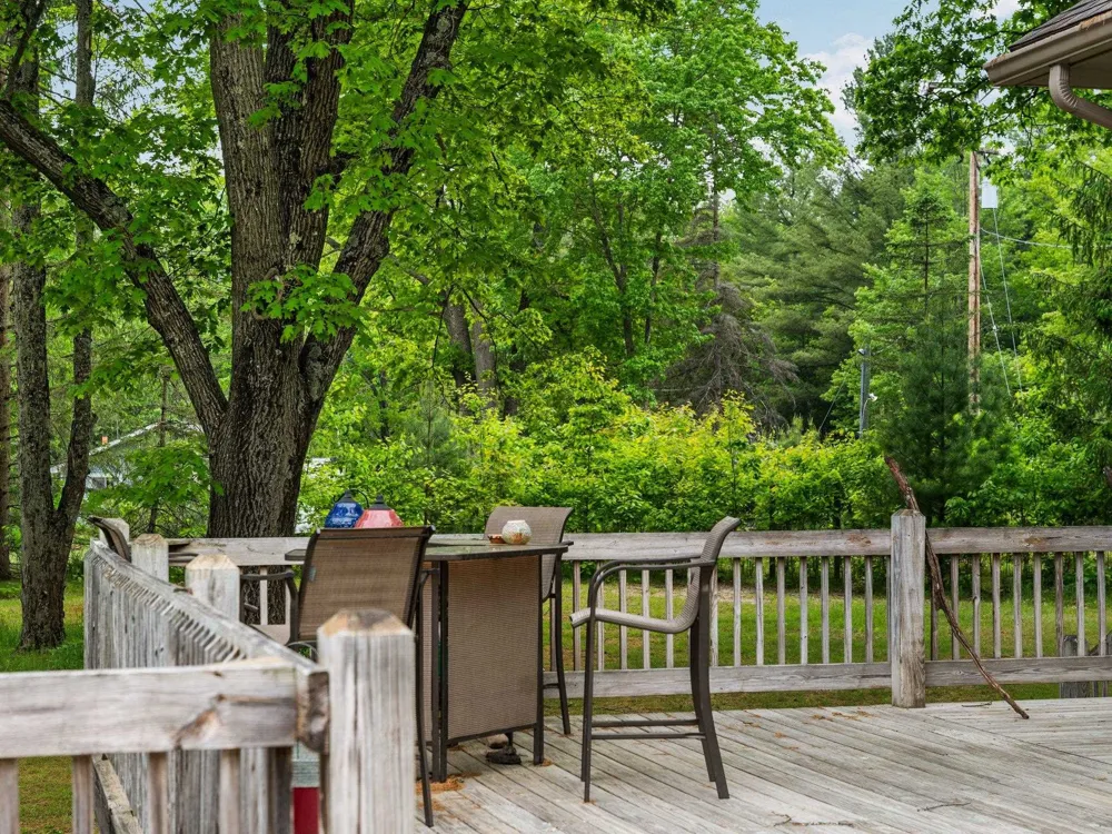 8415 W Workman Road Lake Township, MI 49651