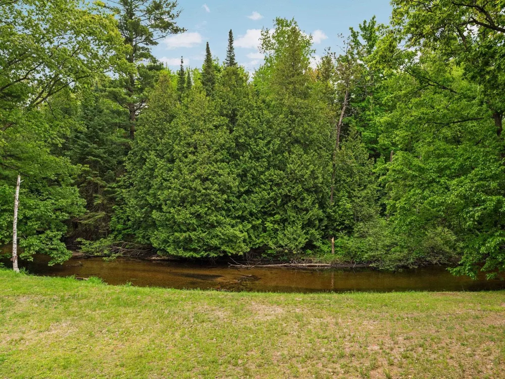 8415 W Workman Road Lake Township, MI 49651