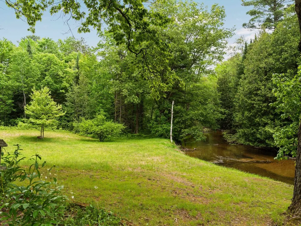 8415 W Workman Road Lake Township, MI 49651
