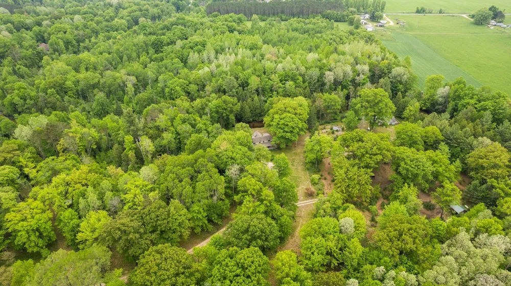 8415 W Workman Road Lake Township, MI 49651