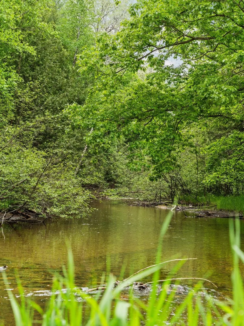 8415 W Workman Road Lake Township, MI 49651