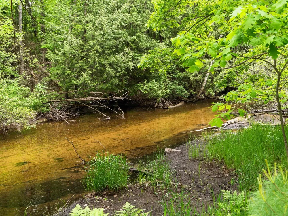 8415 W Workman Road Lake Township, MI 49651