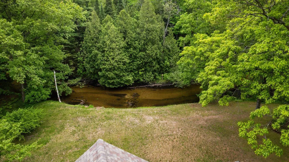8415 W Workman Road Lake Township, MI 49651