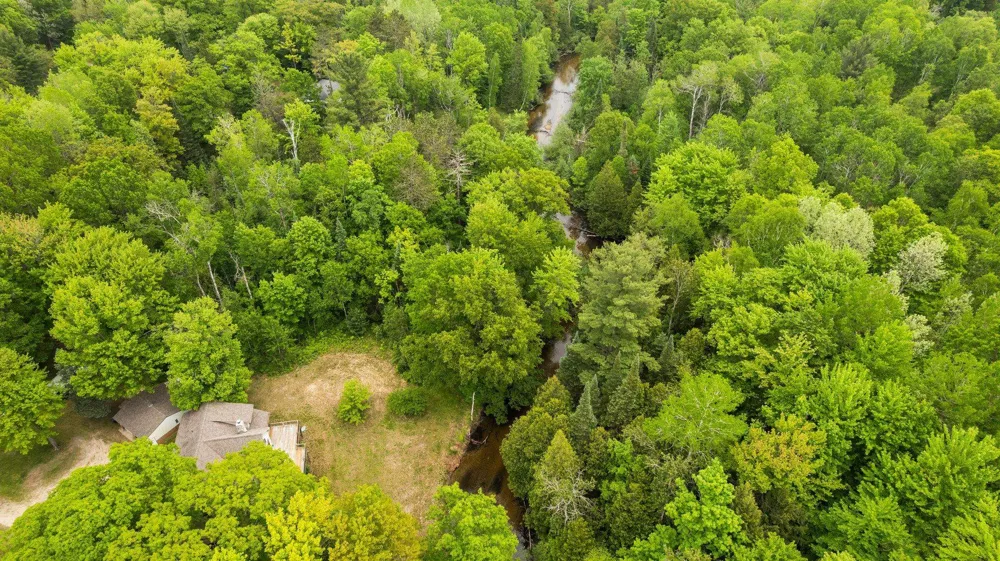 8415 W Workman Road Lake Township, MI 49651