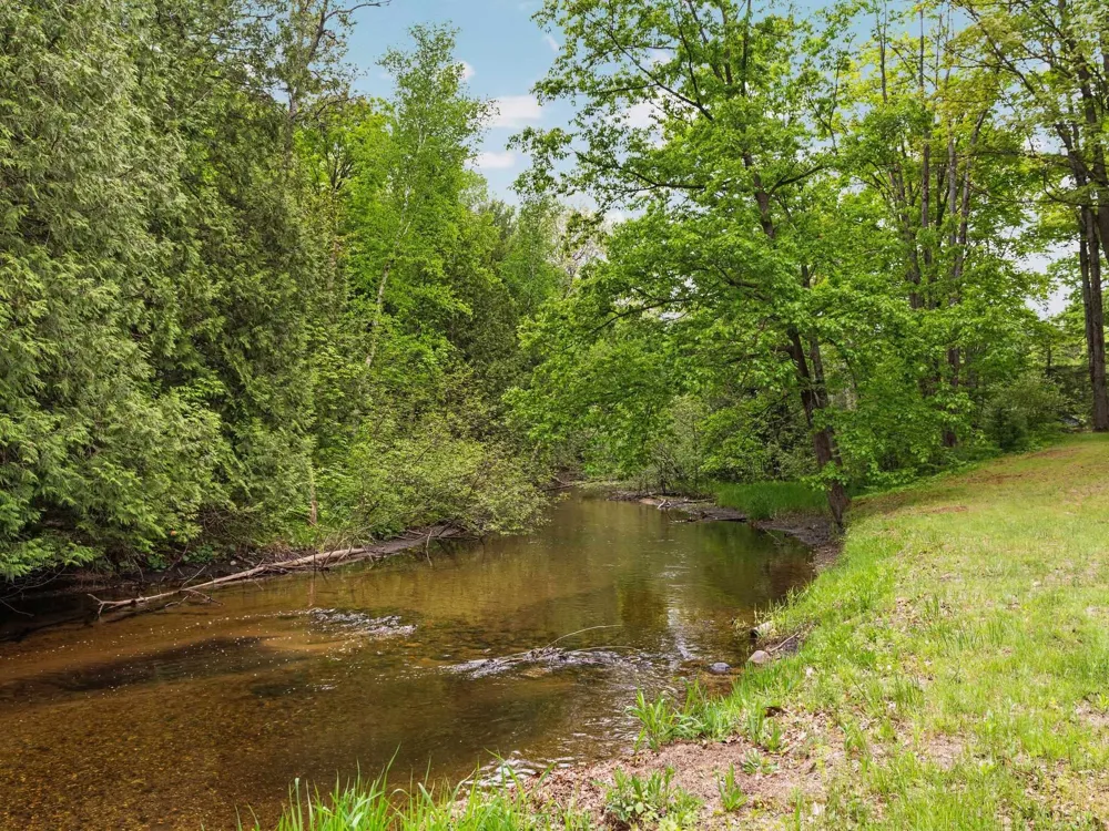 8415 W Workman Road Lake Township, MI 49651