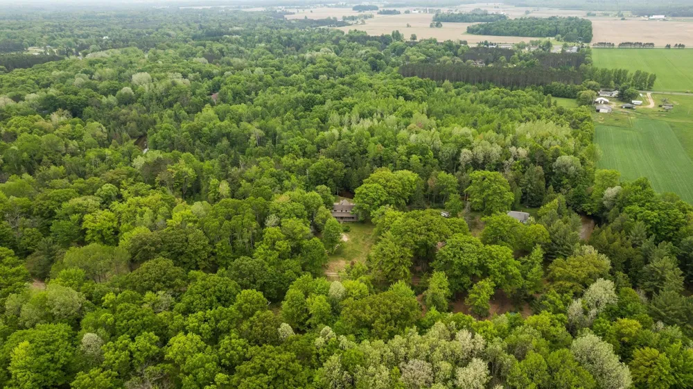 8415 W Workman Road Lake Township, MI 49651
