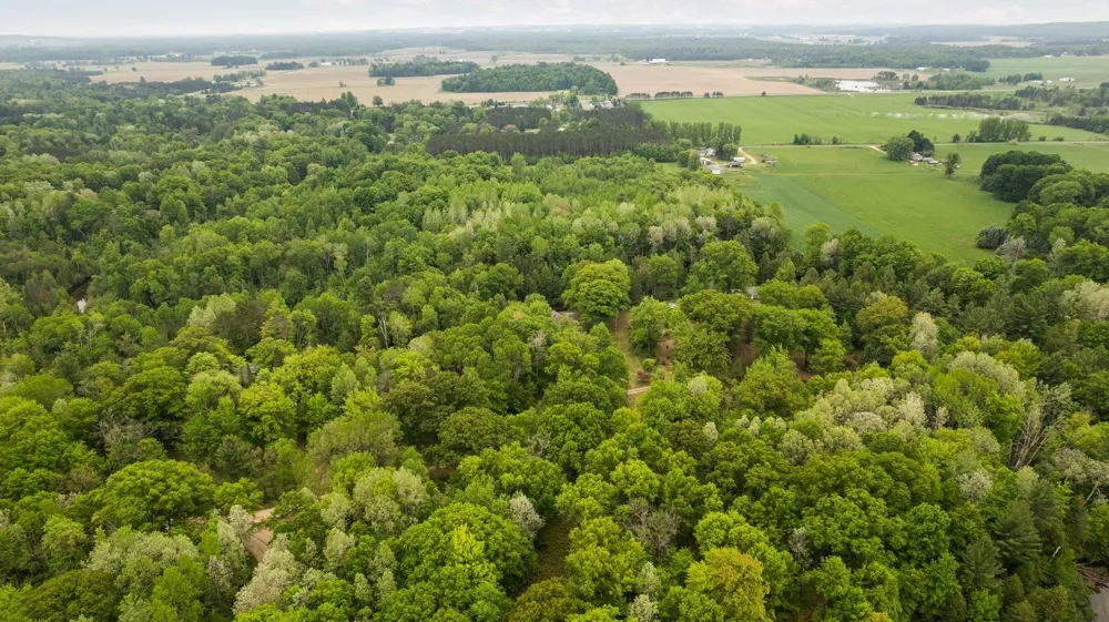 8415 W Workman Road Lake Township, MI 49651