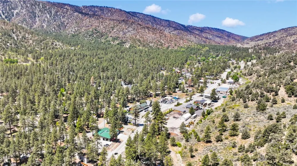 2054 E Canyon Wrightwood, CA 92397