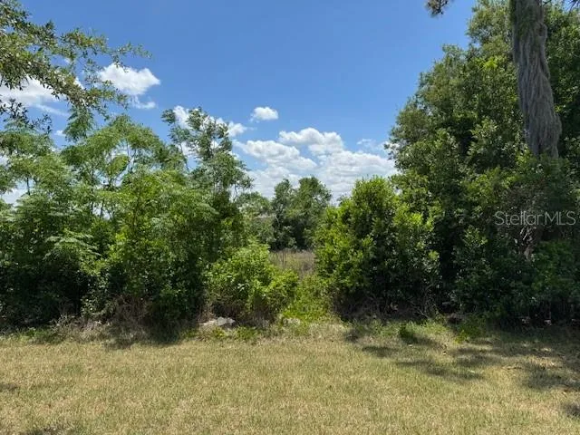 3200 WINGED FOOT ROAD Mount Dora, FL 32757