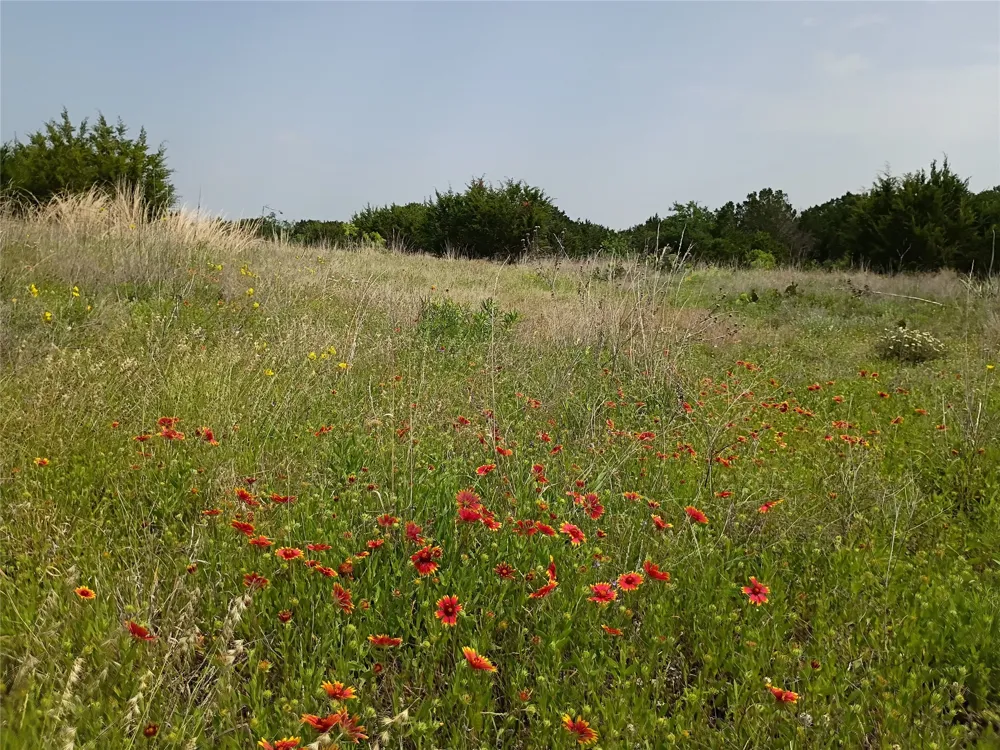 PR 2901 Hamilton, TX 76531