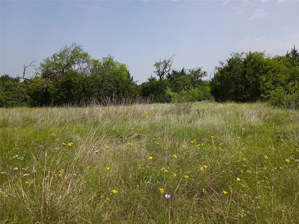 PR 2901 Hamilton, TX 76531