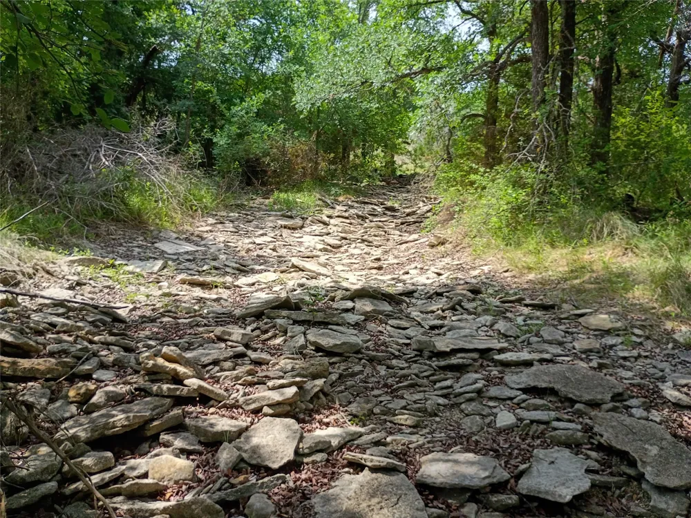 PR 2901 Hamilton, TX 76531
