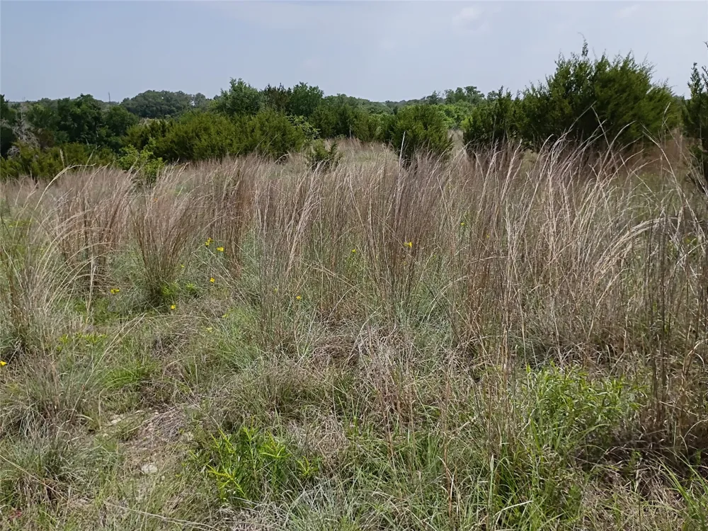PR 2901 Hamilton, TX 76531