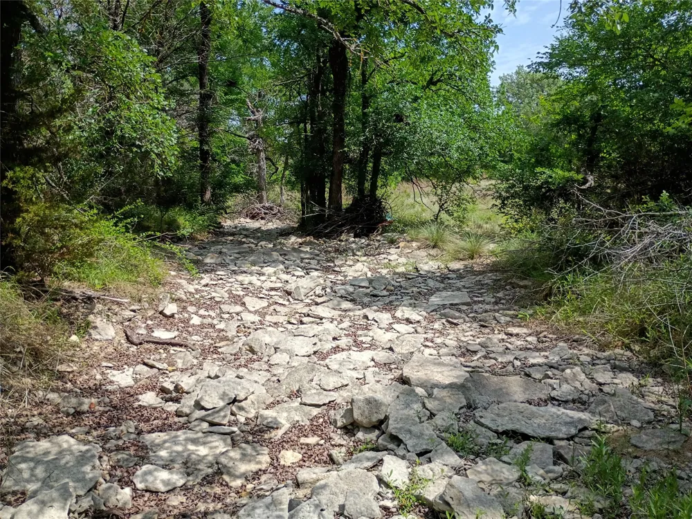 PR 2901 Hamilton, TX 76531
