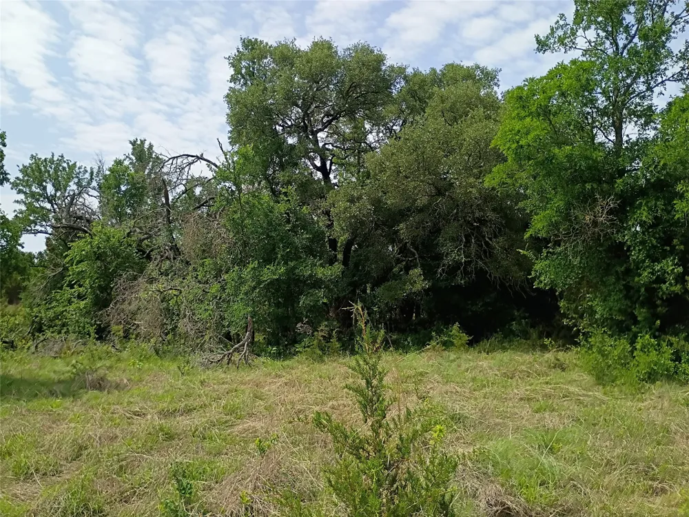 PR 2901 Hamilton, TX 76531