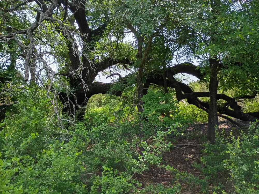 PR 2901 Hamilton, TX 76531