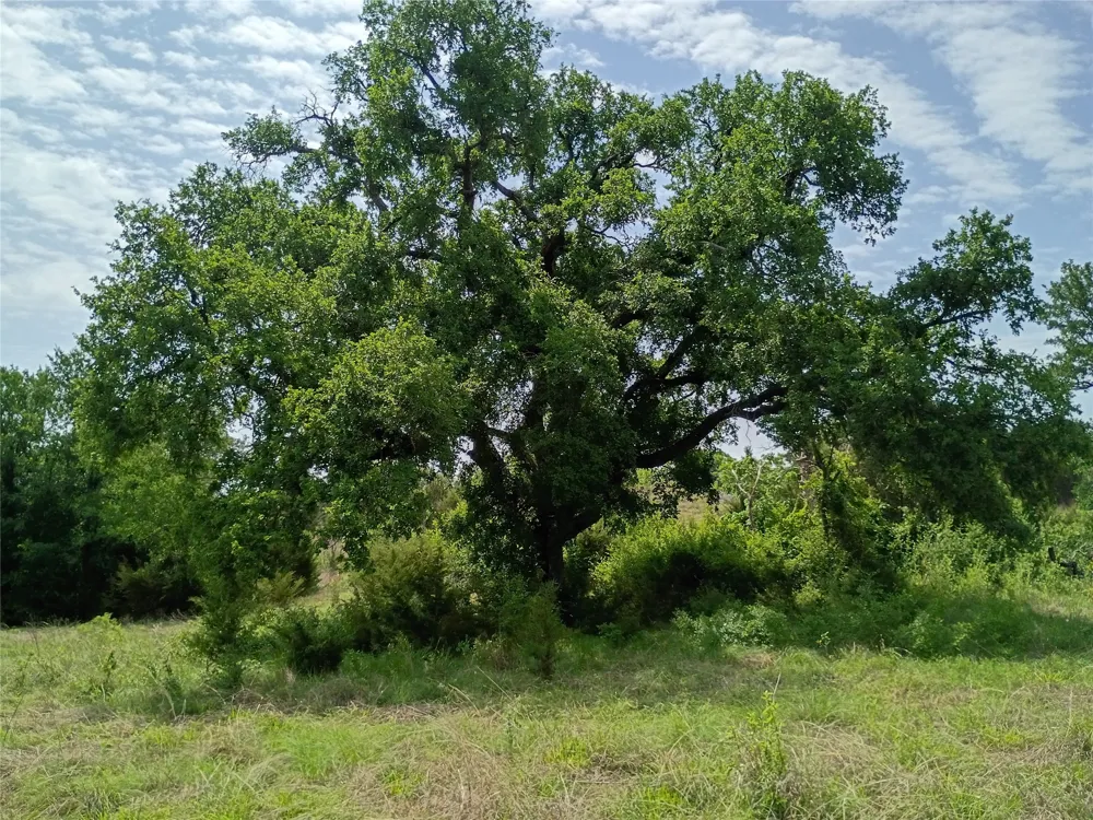 PR 2901 Hamilton, TX 76531