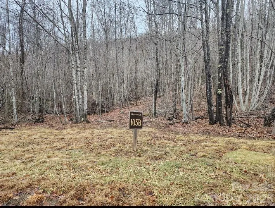 0 Beaver Dam Road Banner Elk, NC 28604