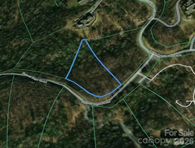 0 Beaver Dam Road Banner Elk, NC 28604