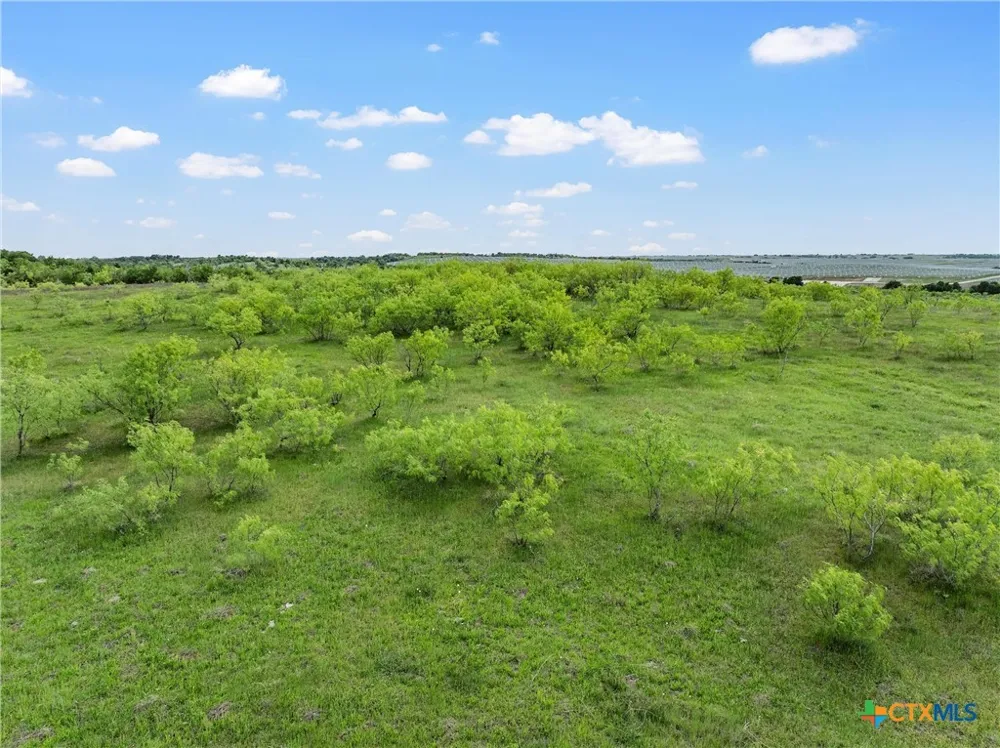 Cr 462 Lott, TX 76656