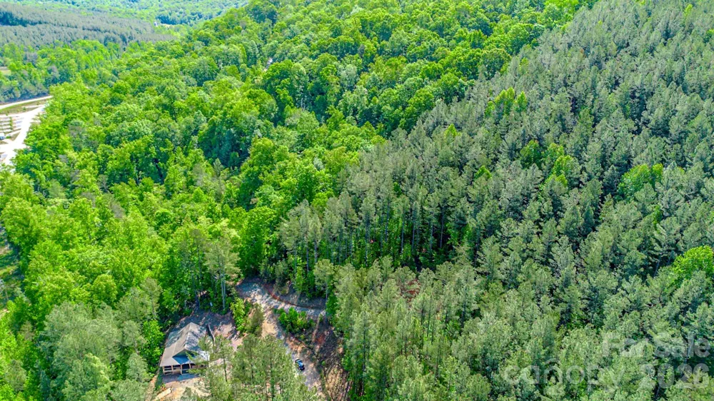 146 S Branch Drive Bostic, NC 28018