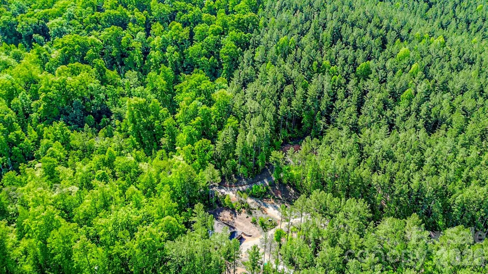146 S Branch Drive Bostic, NC 28018
