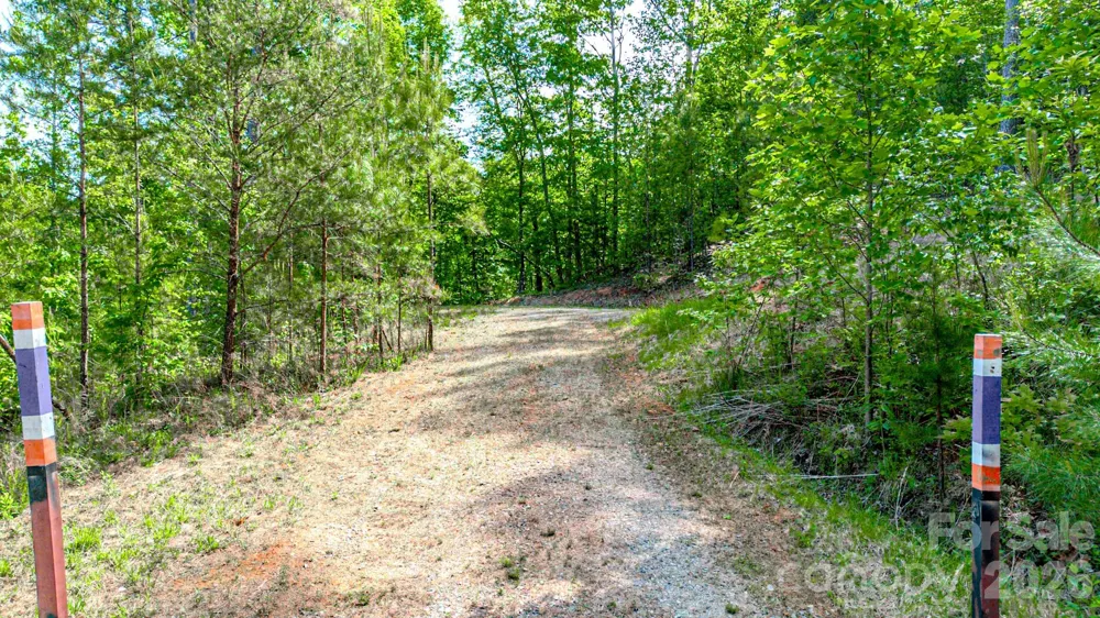 146 S Branch Drive Bostic, NC 28018