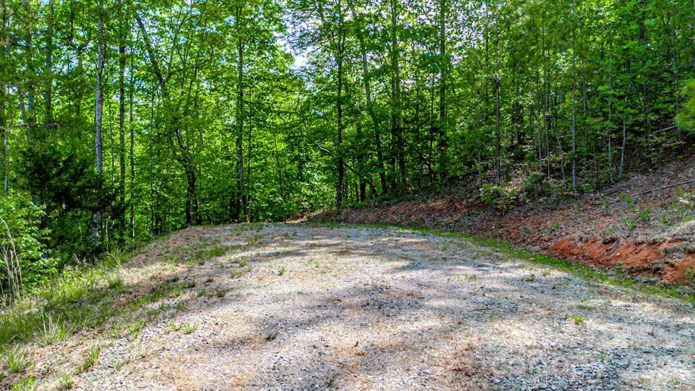 146 S Branch Drive Bostic, NC 28018