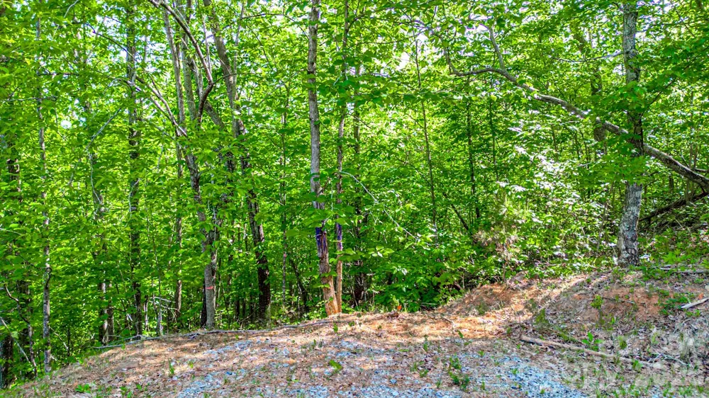 146 S Branch Drive Bostic, NC 28018