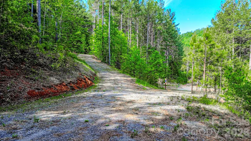 146 S Branch Drive Bostic, NC 28018