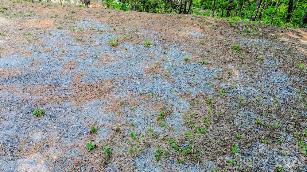 146 S Branch Drive Bostic, NC 28018