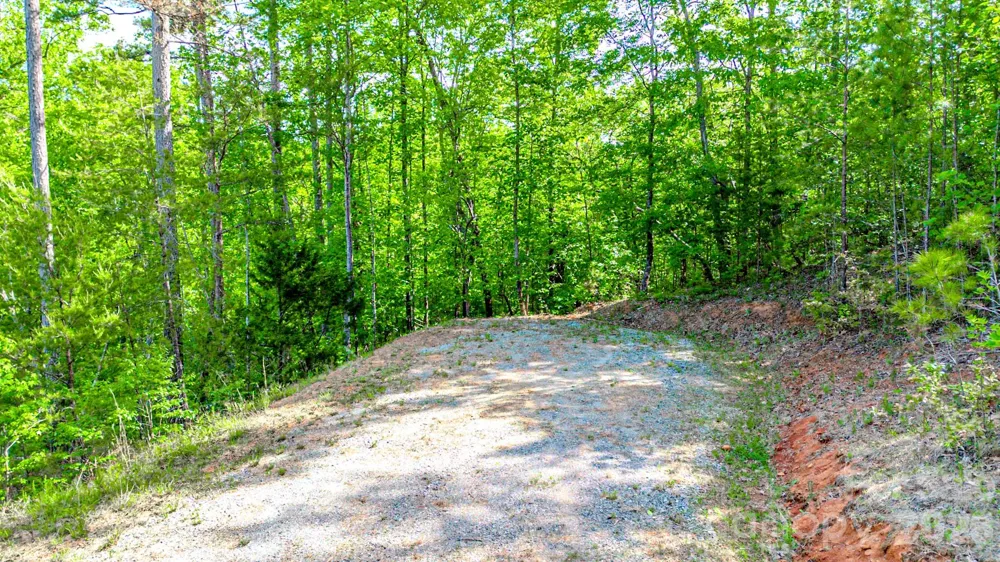 146 S Branch Drive Bostic, NC 28018