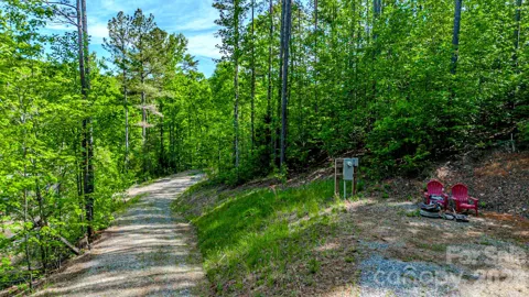 146 S Branch Drive