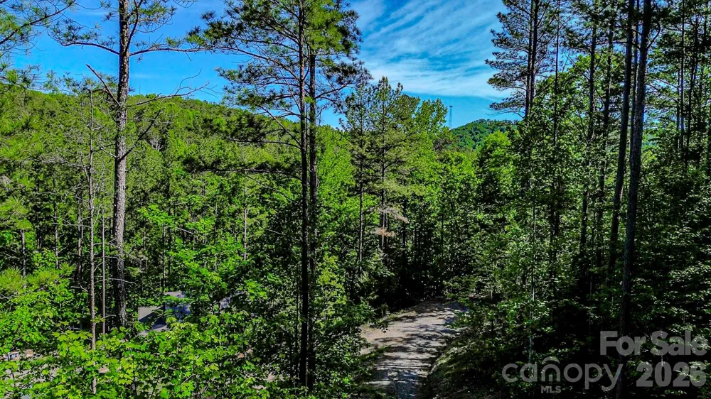 146 S Branch Drive Bostic, NC 28018