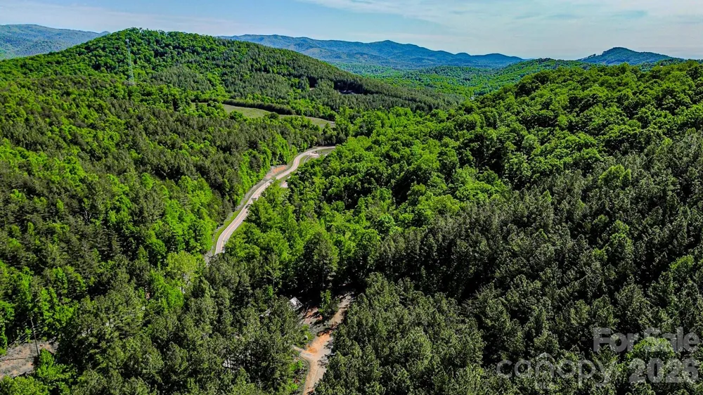 146 S Branch Drive Bostic, NC 28018